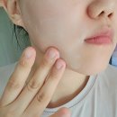 메카닉S | 주름 미백 동시 케어 크림 추천 닥터메카닉 젤리코겐 로하백 크림 리얼 사용 후기