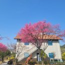 아림킨더하우스어린이집 이미지