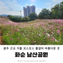 남산공원 달빛을 지 | 광주 근교 화순 코스모스 산책 후 영화 보기 좋은 남산 공원 데이트
