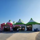 [충남 홍성] 남당항 대하축제 일요일 방문 후기 _ 아이와 함께 즐길거리 가득!💕