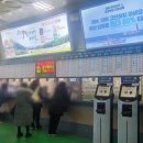 7. 용평 리조트, 대중교통으로 스키장가기