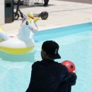 쿱스 이미지