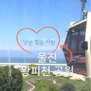 동해곤충농장 | 울진 왕피천공원, 아쿠아리움 동물원 곤충여행관에다가 케이블카까지!