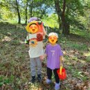 후평숲속유치원 이미지