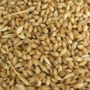 양성한의원 이미지