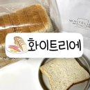 주정차단속-103 이미지
