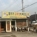 돼지가고추장에빠진집 이미지