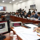 노웅래 카카오 검색결과