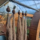 밀양시농업기술센터 | 밀양시 농업기술센터