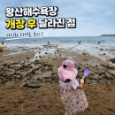 왕산해수욕장 아이랑 다녀온 후기 개장 후 달라진 점과 이용 팁