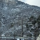 칠봉 송정 캠핑장 이미지