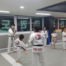 국가대표인성태권도
