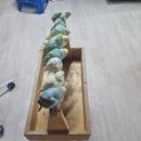 인천조류원 이미지