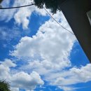 소영약국 이미지