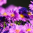 추억속의 이야기 이미지