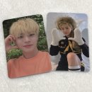 주미동물약국 | 한 번 더 뛸 수 있다면 그땐 너의 맘이 닿는 곳까지