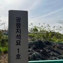 광령지석묘 1호 이미지