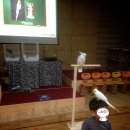 늘품자연유치원 이미지