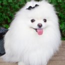 부신메디칼 이미지