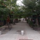 보정동 카페거리 이미지