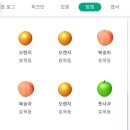 블룸데코