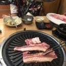 황소고집 이미지