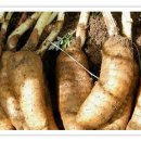 희동이네 이미지