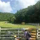 상우목장 이미지