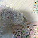 비앤비피시카페 이미지