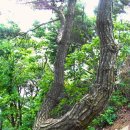 회문산자연휴양림 이미지