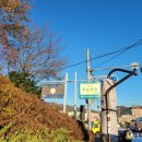 중앙로+진각로 이미지