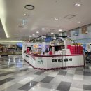 동성로왕찹쌀꽈배기 | 송도 꽈배기 맛집 탐방기💛 동성로왕찹쌀꽈배기 홈플러스 송도점 방문 후기