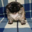 뽀송뽀송 이미지