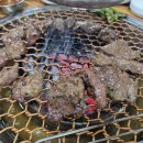 강가명가진주