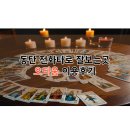동탄 전화타로 잘보는곳 오티움 이용후기