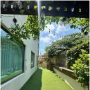 우리들애견 이미지