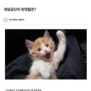 부산에 대형 펜시샵? 문구점? 없나요?? 이미지