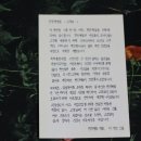 솔빈약국 이미지