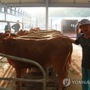 농민축산 이미지