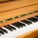 카르디아 이미지