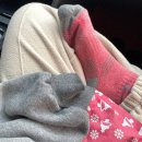 시청길12번길 이미지