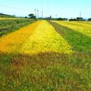 호미곶관광단지 이미지