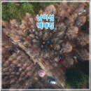 스페이스닷 | 남이섬 백패킹 행사 후기 스페이스에이트 트레킹 온 아일랜드 스텝 후기