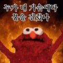 스테이로이 이미지