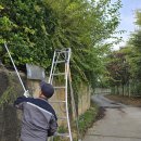 영인면 아산호로 이미지