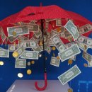 에이치디 현대마린솔루션 주식회사 이미지