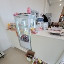 해피데이애견 이미지