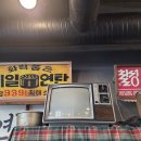 고색동 | 횟집 수원 고색동 울릉오징어 레트로 감성 술집 후기