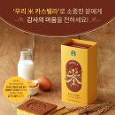 리스프링