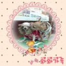 패밀리와와 이미지